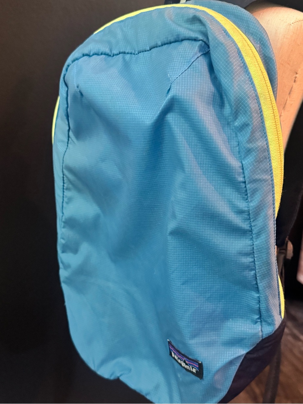 Patagonia Blue and Yellow Lightweight Kids Backpack - Picture 2 of 6